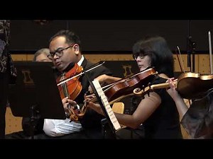 Janacek - IDYLL FOR STRING ORCHESTRA, VI. Scherzo - Amadeus Symphony Orchestra - Prof. H. Hochschild