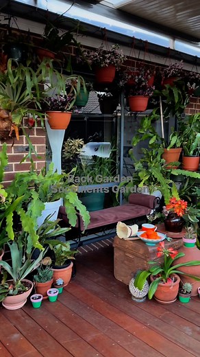 Back garden #gardenlovers #succulentgarden #backgarden | Succulents Garden