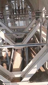 Rice mill paddy process 😊😊#shorts #ricemill #youtube