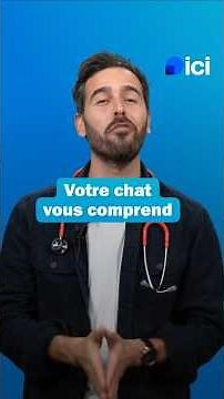 Votre chat vous ignore ? Il vous a très bien entendu, mais il s'en fiche ! #Chat #CatLover