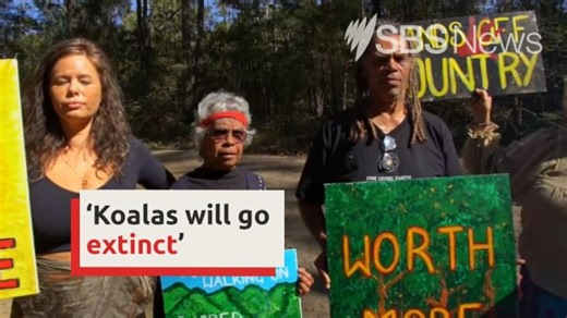 Anti-logging protest enters second week