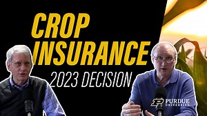 Making Your 2023 Crop Insurance Decision - Center for Commercial Agriculture