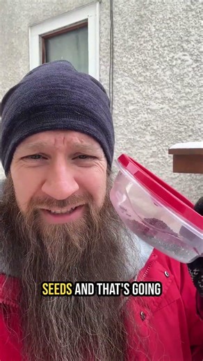 Happy New Year! (Сію, сію 2026)