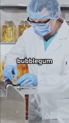 The Sweet Science How Gum is Made