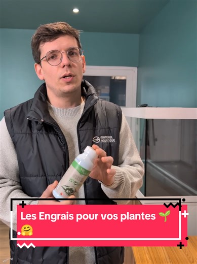 Plantes d’aquarium = perte d’argent ? 🤔 On entend très souvent cette réflexion : « Les plantes d’aquarium ne servent à rien, elles jaunissent, perdent leurs feuilles… » 👉 C’EST FAUX ! 👎🌱 #aquarium #plantes #betta #engrais #aquariumfish