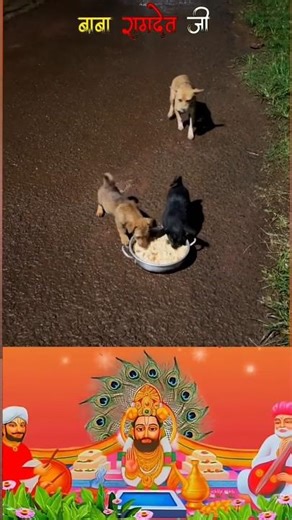 जय मारा बाबा 🚩🙇🌺 री सा#ramdevra#ramdevji#bhakti#travel#shorts#ytshorts#viral#short0