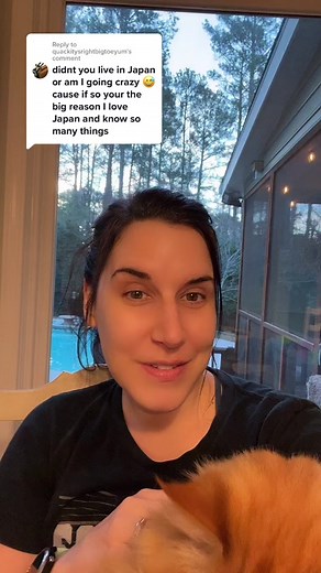 Doctor Squish: My Journey in Japan & Creating Squishies