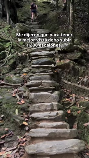 Sin duda el Trek a la Ciudad Perdida de los Tayronas es uno de los mejores Treks de media Montaña que podrás vivir en la Sierra Nevada de Santa Marta ... ¿ Viajas sola o solo ? No importa nosotros organizamos los grupos con Aventureros de todo el mundo 📍 Salidas diarias desde Santa Marta Reúne a tus amigos y GANA tu cupo GRATIS 🔗 www.aventureroscolombia.co Aventureros Colombia 26 años Profesionales en Aventura Operador avalado por PNN Miembros de ANATO • ACOTUR • ATTA R.N.T 52564 #loscitytrek 