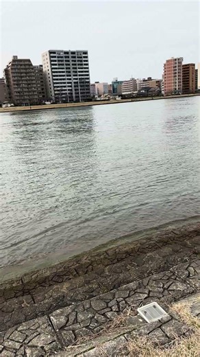 Japan Wonderful Shinano River side