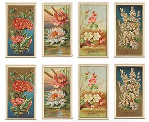 Floral Memory Card Game Printable Flower Cards Antique Flower Art Memory Care Activity for Children and Elderly Adults - Etsy UK