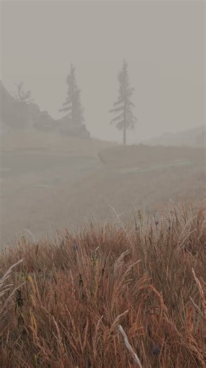 Tundra Fog | #skyrim #ambience #gaming
