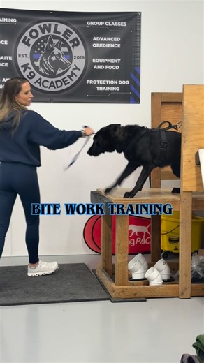 Fowler K9 Academy on Instagram: "Protection Dog Training: Know Your Options Protection training isn’t a “one size fits all” service—and it shouldn’t be. At Fowler K9 Academy, we offer multiple protection dog training paths based on your dog, your goals, and your lifestyle. 🛡️ Personal & Family Protection Built for stable, social dogs living in real homes. Focused on threat recognition, controlled engagement, obedience under pressure, and handler control. Protection is about clarity and control—