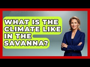 What Is The Climate Like In The Savanna? - The Geography Atlas