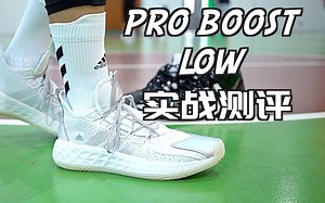 过于平庸 找不到推荐它的理由——Pro Boost Low 实战测评