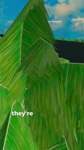 Playing hide and seek in Vrfs with the boys!! #vrfs