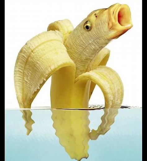 Tobu candyland but low quality ft. random photos in my photo library