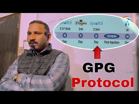 GPG Protocol in cow & Buffalo !! Estrus synchronization in cattle 🐄 | VetCareOfficial