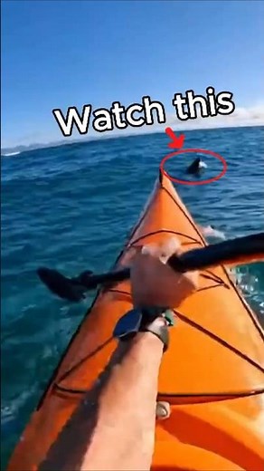 GoPro Encounter Shark Strikes Kayak in Open Ocean
