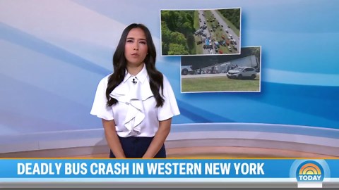 5 Dead, Dozens Injured After Tour Bus Crashes in New York State