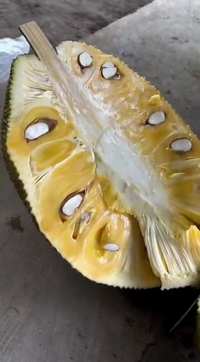 the process of opening fresh jackfruit#shorts