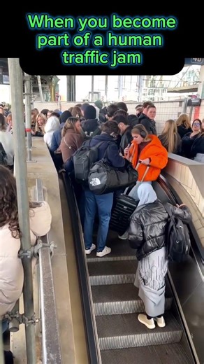 when you're a human log jam #funny #memes #fails