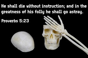 𝐏𝐫𝐨𝐯𝐞𝐫𝐛𝐬 𝟓:𝟐𝟑 𝐇𝐞 𝐬𝐡𝐚𝐥𝐥 𝐝𝐢𝐞 𝐰𝐢𝐭𝐡𝐨𝐮𝐭 𝐢𝐧𝐬𝐭𝐫𝐮𝐜𝐭𝐢𝐨𝐧; 𝐚𝐧𝐝 𝐢𝐧 𝐭𝐡𝐞 𝐠𝐫𝐞𝐚𝐭𝐧𝐞𝐬𝐬 𝐨𝐟 𝐡𝐢𝐬 𝐟𝐨𝐥𝐥𝐲 𝐡𝐞 𝐬𝐡𝐚𝐥𝐥 𝐠𝐨 𝐚𝐬𝐭𝐫𝐚𝐲. What happens to men who play with whores? They will be punished and die in shame. There are good and bad ways to die, but ending a life of fornication is one of the worst. Chapter five of Proverbs warns about whores – women having sex outside marriage (Pr 5:1-14). Solomon wanted to save his son from fornication and 