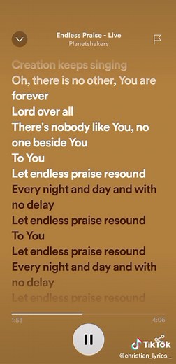 Endless Praise Lyrics by Planetshakers