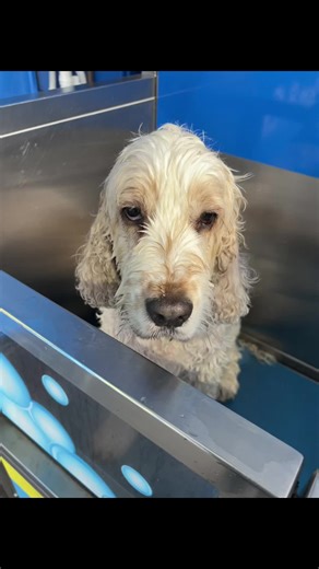 Kate Jones (@katiejones971)’s videos with Originalton - 07.seta