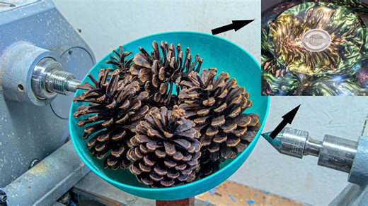 You won’t believe this pine cone transformation