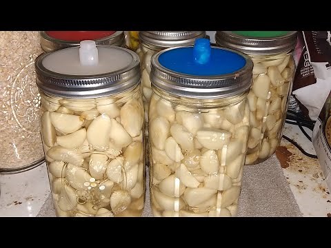 Preserving Garlic for Long Term Storage