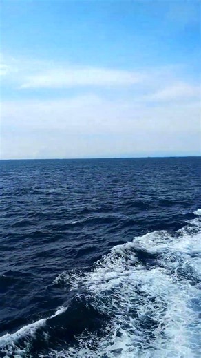東京都伊豆諸島伊豆大島付近の海上映像 #short #文化財 #travel