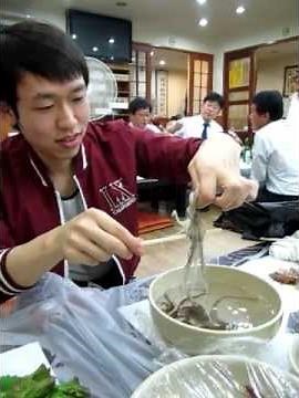 Korean eating living Octopus: San Nakji (산낙지)