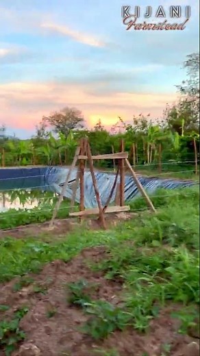 This 1 Acre Organic Farm Layout Will Blow Your Mind 🤯🍌🌿 #FarmLayout #1AcreFarm #OrganicFarming