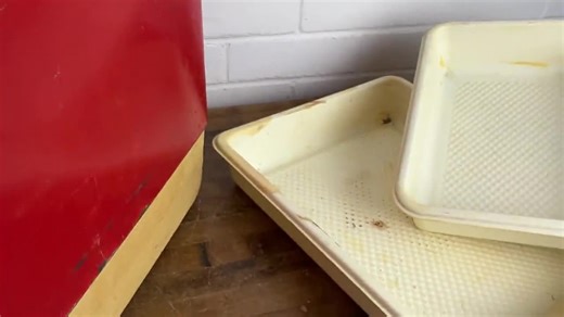 1980s Vintage Red Metal Cooler Coleman Ice Chest Cooler Authentic 80s Retro Cooler for Patio Party Camping - Etsy