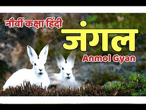 Jungle..(Supplementary Reading) 9th class Hindi Jungle...ninth class Hindi...by...Sunil Darekar