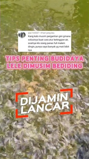 Tips for Successful Catfish Farming During the Cold Season