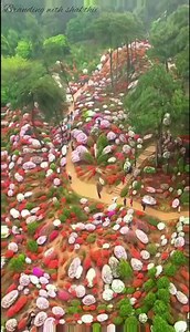 1.6K views · 30 reactions | The earth laughs in flowers ❤️ #flowers #garden #happy #gudmorning Branding with Shakthii | Branding with Shakthii | Facebook