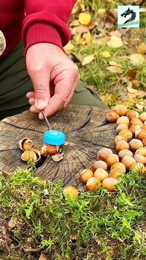 New way to break nuts || Nex Life Hack #lifehacks
