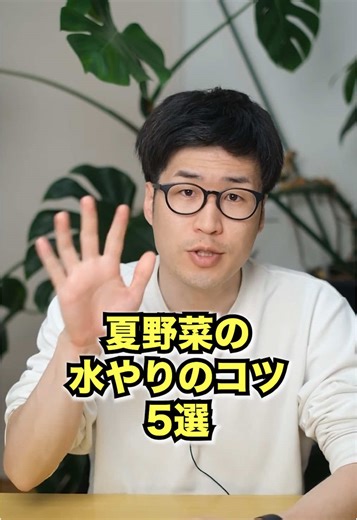 夏野菜の水やりのコツ5選