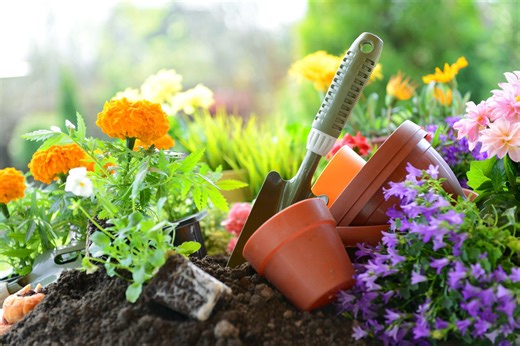 Planting schedule: How to get jump on spring gardening