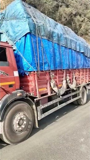 #নাগাল্যান্ডের ভিডিও 🚛🔥♥️🥰😍