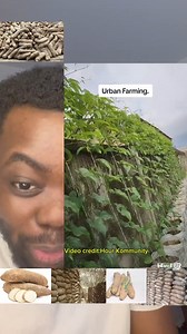 New method of yam farming | 8 videos viral