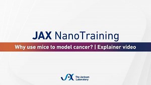 Why use mice to model cancer? | Explainer video | JAX Education