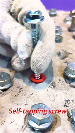 Hardware tool accessories Self-tapping screw