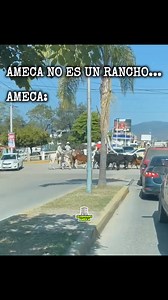Ameca es ciudad 🙄 | Celebridades AMECA