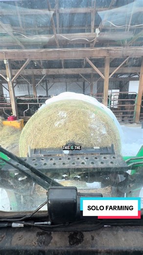 Solo Farming Tips for Efficient Farm Life