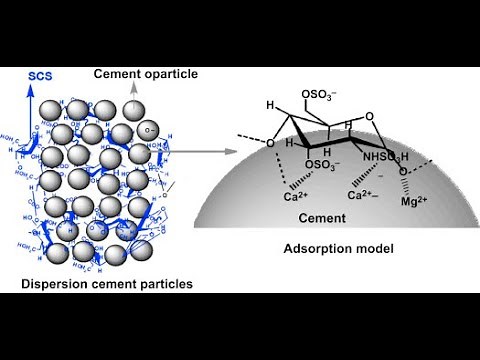 Hydration of cement and Ettringite Formation
