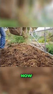Grow Amazing Gardens: Use Leaf Mold for Richer Soil!