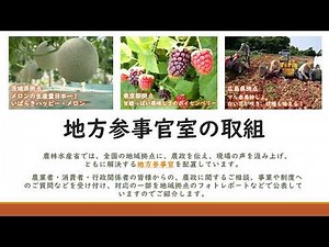 地方参事官室の取組（令和4年7月）