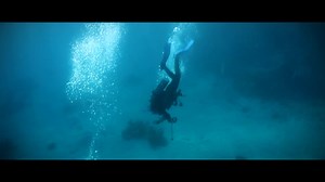 6.3M views · 32K reactions | To date, there are thousands of Thinkers...